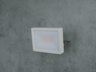 Projecteur LED TheLeda B DUAL 30W blanc 3000K ou 4000K IP65 modulable