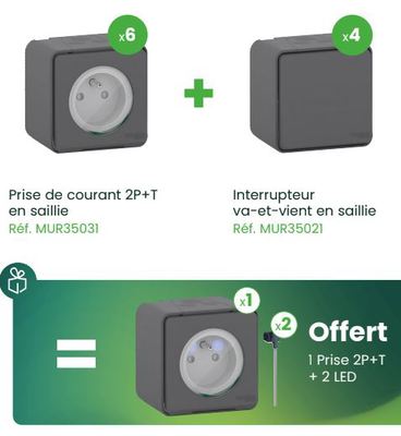 Mureva Styl - ProBox - 6 prises 2P+T + 4 VV + 1 prise lumineuse (2 LEDs) - gris