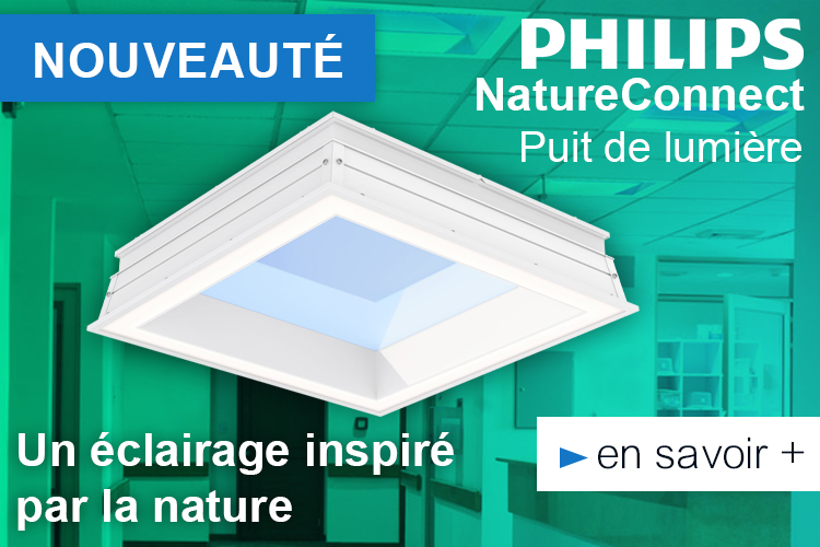 Philips NatureConnect Skylight