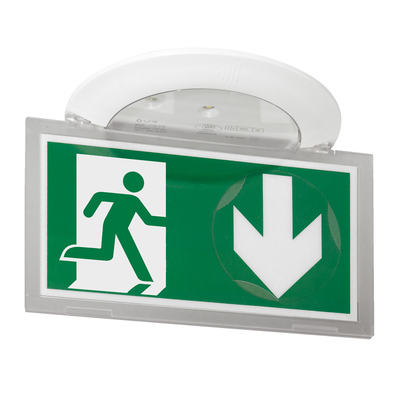 BAES d'vacuation encastr  LEDs 45lm 1h Kickspot IP40 IK04 SATI Connect