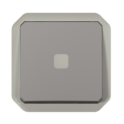 Interrupteur temporis lumineux Plexo composable gris
