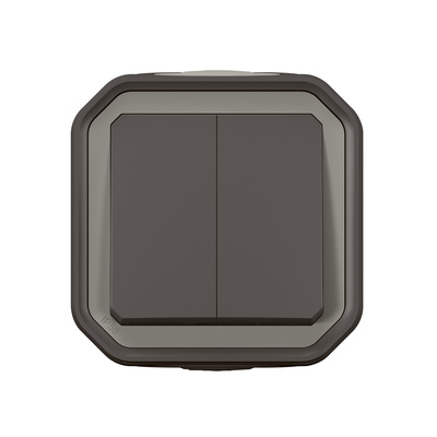 Commande double interrupteur ou poussoir Plexo complet saillie anthracite