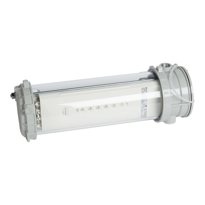 BAES �vacuation ATEX Adressable- IP66 - IK07