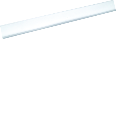 portes-tiquettes transparents VF/VS 450mm (contenu 5 pices)