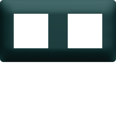 Plaque de finition Essensya 2 postes Anthracite