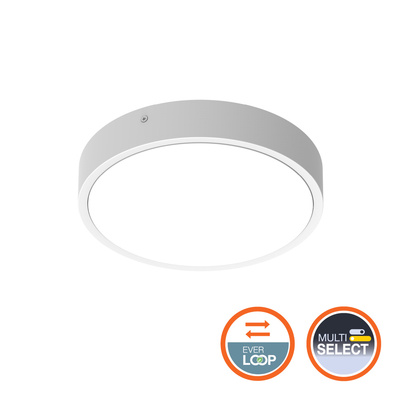 LDV SF BLKH RD250 5,59,5W 3000/4000K 6801220lm IK10/IP65 Blanc Hublot Everloop