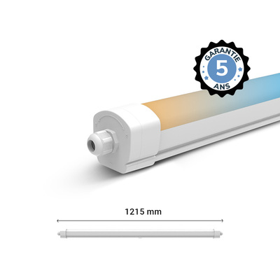 DANUBE CCT II ETANCHE LED INT 1215MM 35W 3CCT IP65 IK10 TRA 5A (X6)