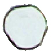 Cl De Proximit 13,56 Mhz - Bleu