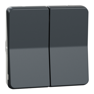 Mureva Styl - M�canisme seul - bouton-poussoir double - 10 A - 250 V CA - gris RAL 7016 - CE | NF - IP55 - IK07 - auto-extinguible