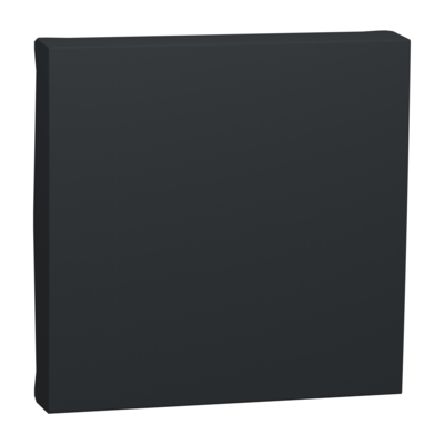 Unica - enjoliveur interrupteur ou bouton-poussoir - 2 modules - Anthracite