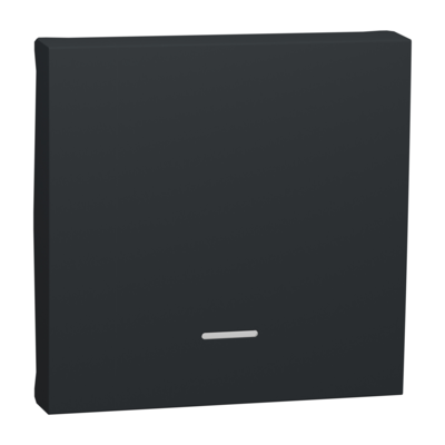 Unica - enjoliveur interrupteur ou bouton-poussoir lumineux - 2 modules - Anthracite