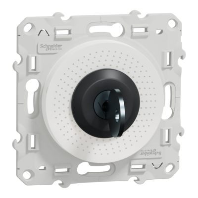 Odace - interrupteur � cl� - barillet et cl� inclus - blanc