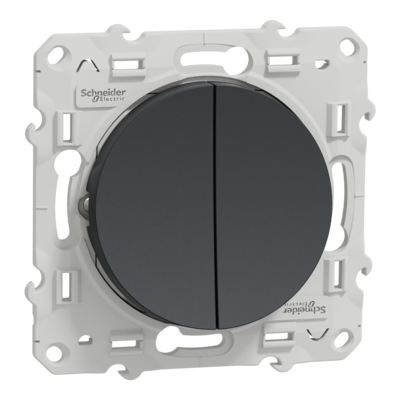 Odace - bouton-poussoir double - anthracite - Fixation par vis - 3 bornes sans vis - 10 AX - 250 V CA 50/60 Hz - IK04 - IP21 D - couvercle de protection peinture - Certifi� NF
