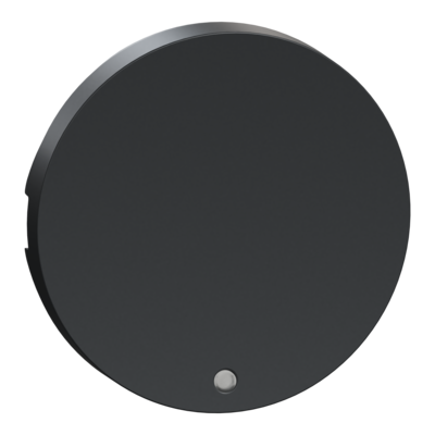 Odace, enjoliveur Anthracite, livr� sans LED