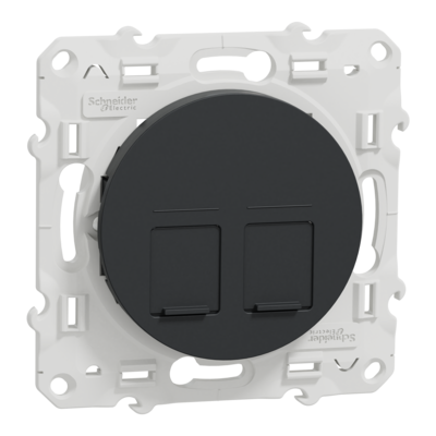 Odace, prise double RJ45 Anthracite, sans connecteur