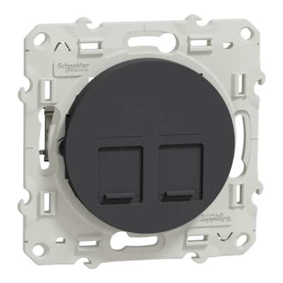 Odace - prise de communication double - anthracite - RJ45 (8 contacts) Cat.6 <= 250 MHz - paire torsad�e blind�e - STP - Fixation par vis - Livr�e avec protection peinture - qt� 10 - IP21 - IK04 - sans halog�ne