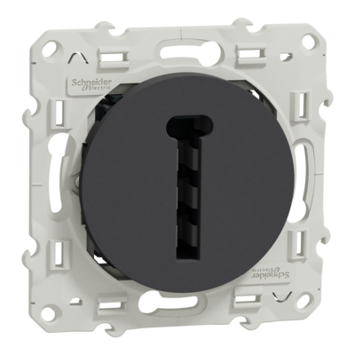 Odace - prise de t�l�phone - France Telecom 8 contacts - couleur anthracite - m�canisme avec cadre en plastique - montage encastr� - fixation par vis - couvercle de protection peinture - bornes � vis - qt� 10