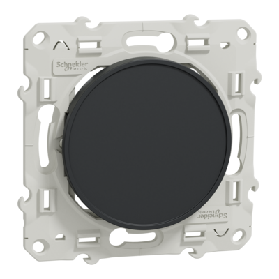 Odace - Obturateur - Fixation par vis - anthracite - Livr� avec couvercle de protection peinture - qt� 10 - IK04 - IP21 D - sans halog�ne