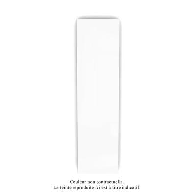 Altima EC vertical, face lisse, blanc RAL 9016 1012W, H2013 mm / L527 mm