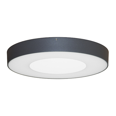 ASPI 1 SENSOR PLUS 30W 3000Lm IP54 Anthracite