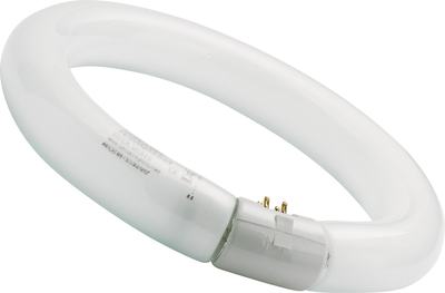 Tubes Fluorescents T9 Circline HR 32W 840 G10q