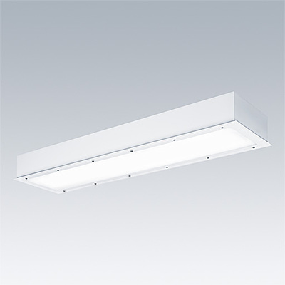 Luminaire anti-vandale LED - DUROLIGHT - DUROLIGHT-R 5300-840 HFIX L1525