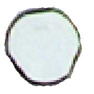 Vis Antivandale M5X25