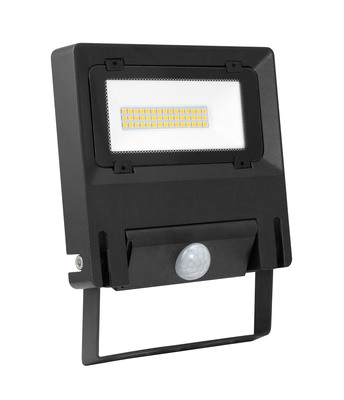 MODULE PIR + REMOTE MICHELLE