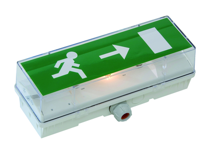 BAES vacuation Standard - Incandescent - 45lm/1h - IP66 IK10