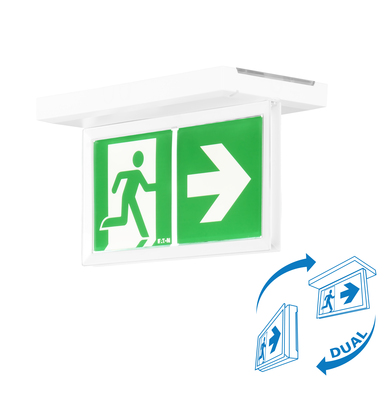 BAES �vacuation SATI - 45lm/1h - IP43 IK07 - Pose mur/plafond - Visibilit�+