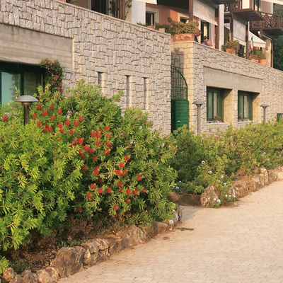 Mat type 5 diam�tre 60 2650+350Mm S/S Trappe