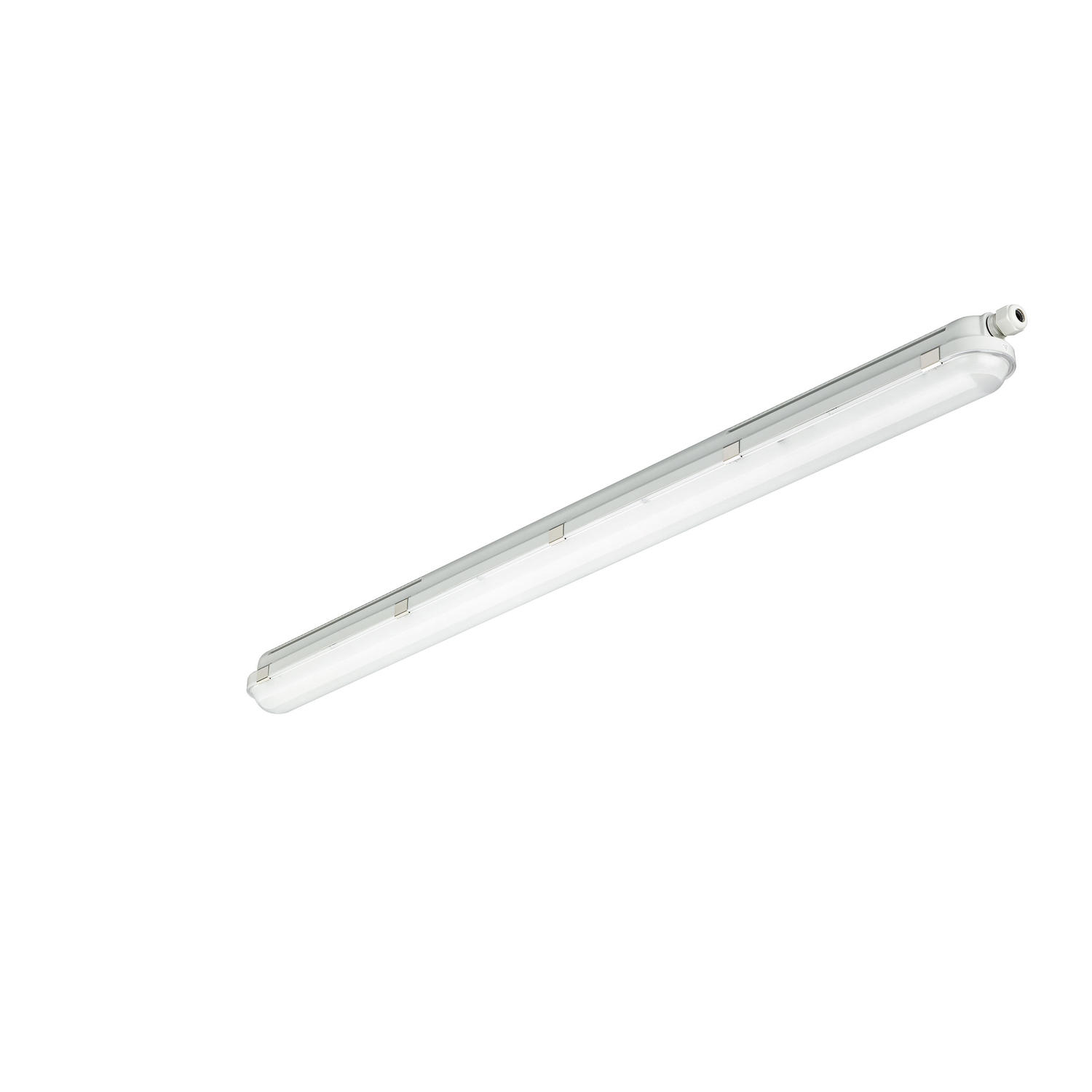 visuel produit
